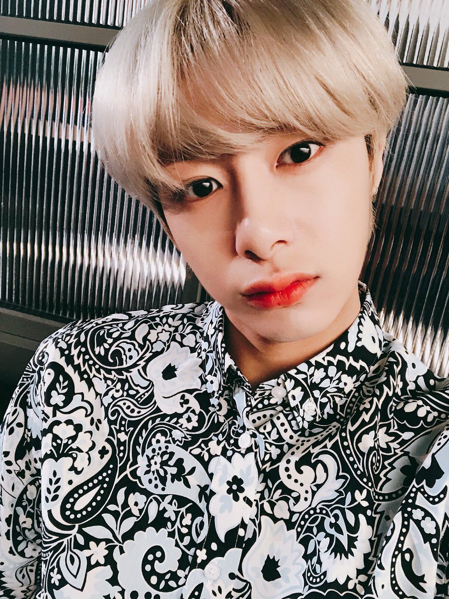 Official_MX_jp tweet picture