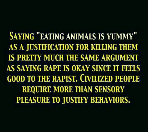 VeganAddicted's tweet photo. Share if you agree! I do! https://t.co/vzT7ok4Duw
