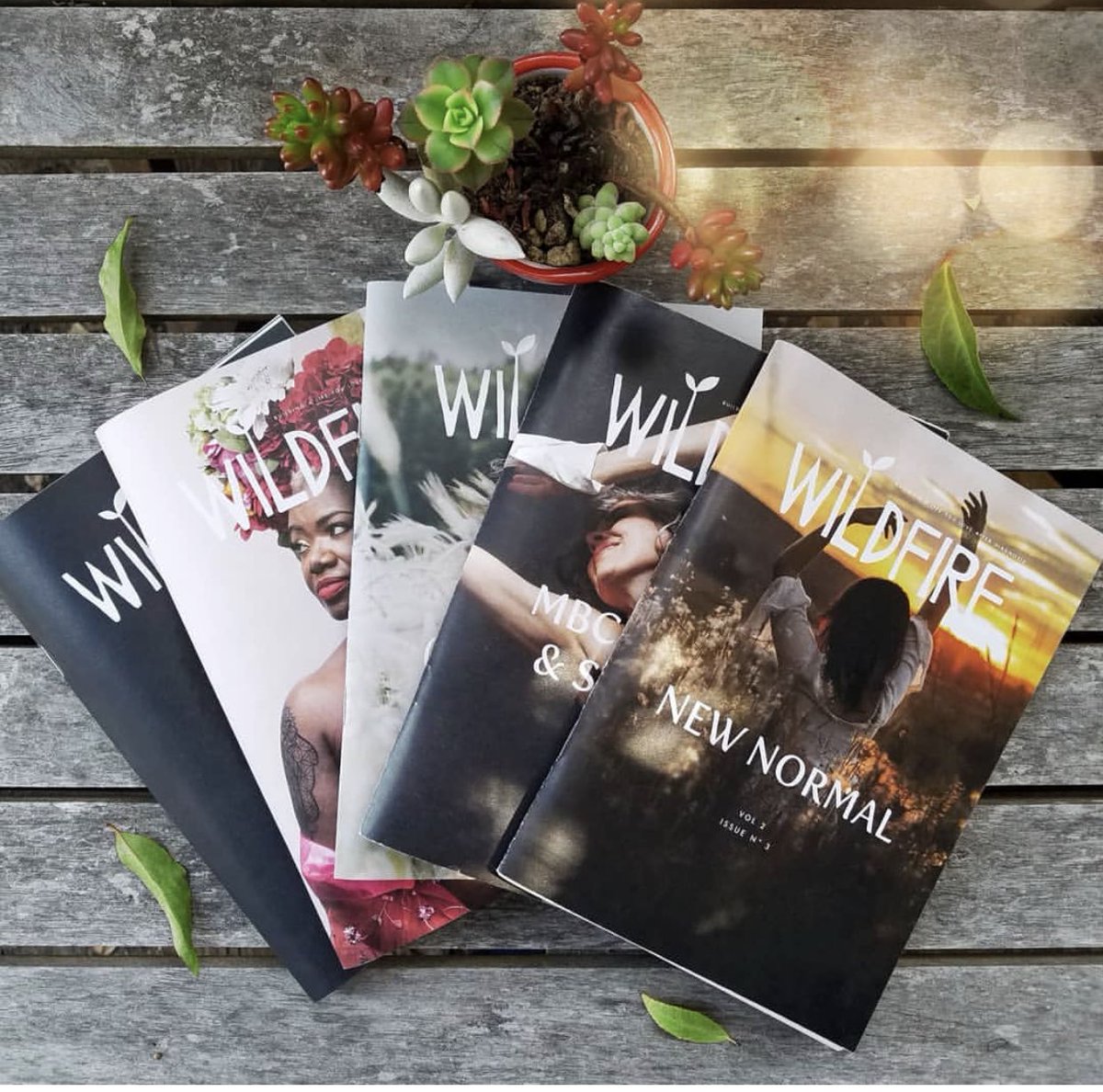 Summer reading goals! The perfect size for your purse (digitally on your phone or tablet, or in luscious paper &amp; ink), Wildfire goes where you’re going, the beach, or let’s face, yet another chemo. Link in the profile! #wearewildfire #breastcancer