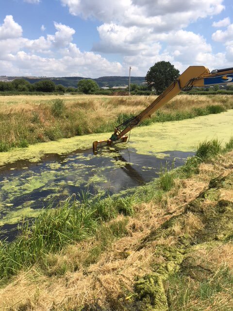OllySomersetEA's tweet image. Field teams were out clearing surface weed at Hixham Rhyne to improve water quality. @IDBengineer @Northlevelidb @EnvAgencySW