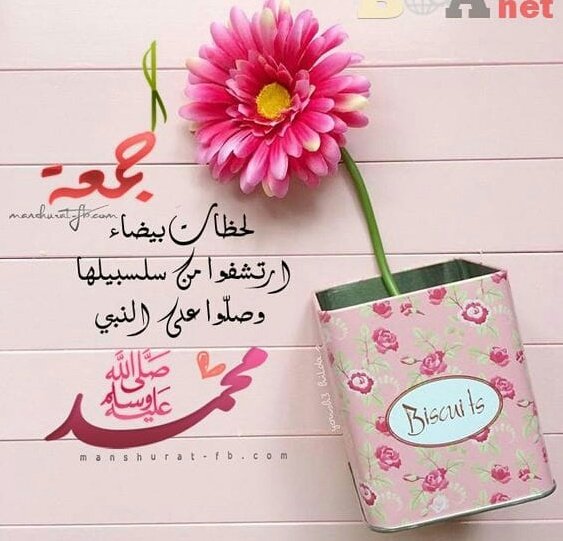 sitamPaglina's tweet photo. 🌷قدموں میں جبیں کو رہنے دو
🍃چہرے کا تصور مشکل ہے 
🌷جب چاند سے بڑھ کر ایڑھی ہے 
🍃تو رخسار کا عالم کیا ہوگا 

     🌷🌸صلی اللہ علیہ وآلہ وسلم🌸🌷
#جمعہ_مبارک https://t.co/FrjzV9krBd