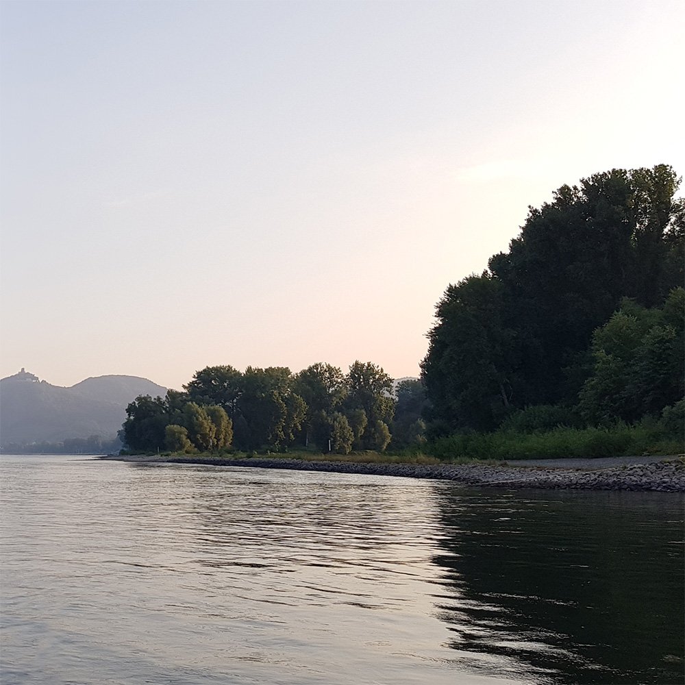 Rolandsbogen Hashtag On Twitter