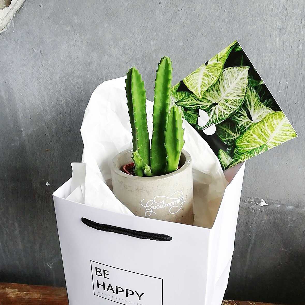 kluxorious's tweet photo. Graduation Day is around the corner. Instead of congratulatory flowers why don't give them these? It will last longer https://t.co/f4re4Zz8BC