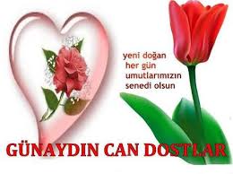 ylz🍒yvz bursa çift (@ylzcift) on Twitter photo 