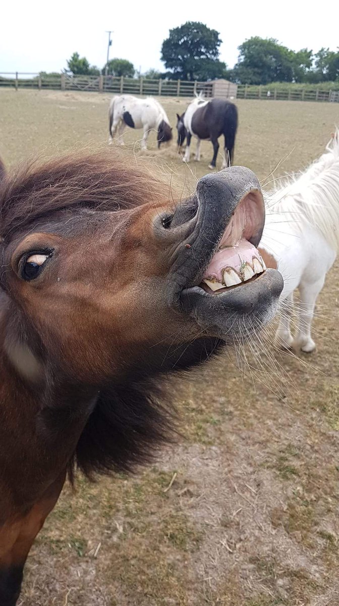 Good morning, Felicity!!