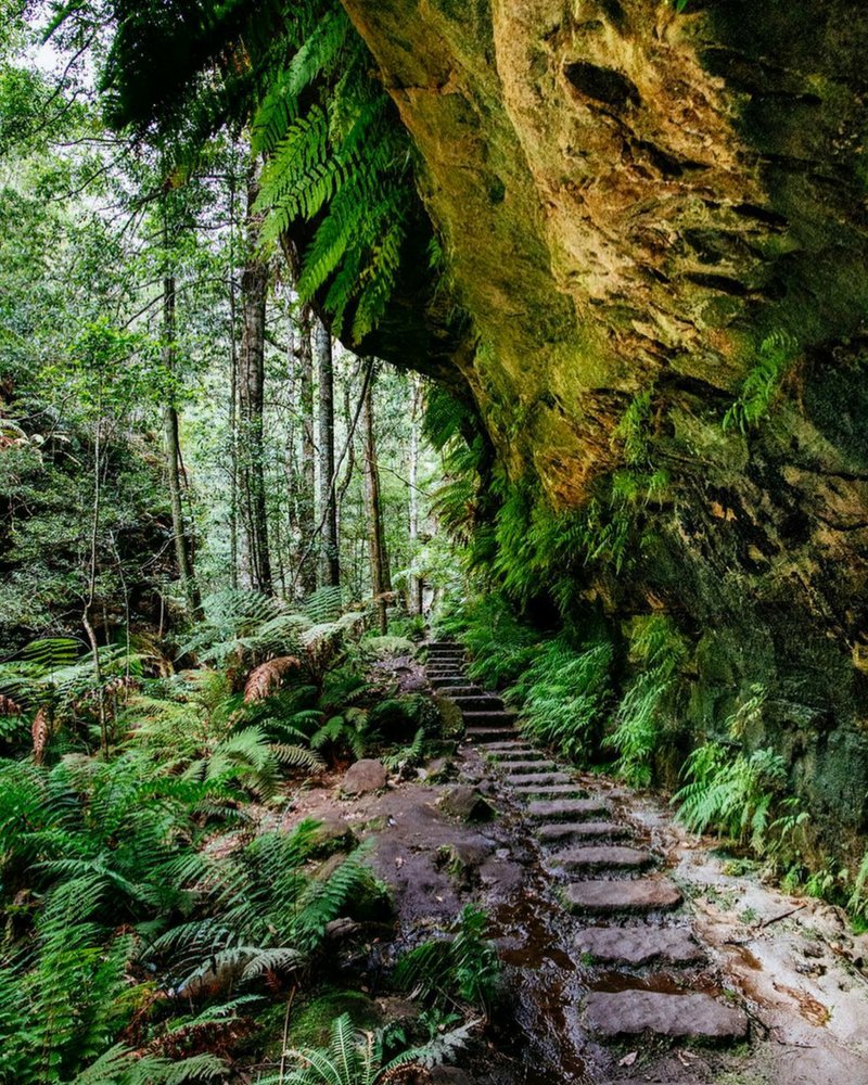 Follow the Grand Canyon Track into the heart of the World Heritage-listed #BlueMountainsNationalPark 🚶🏻‍♀️ (via IG/rog.mack in <a href="/NewSouthWales/">New South Wales</a>) #seeaustralia