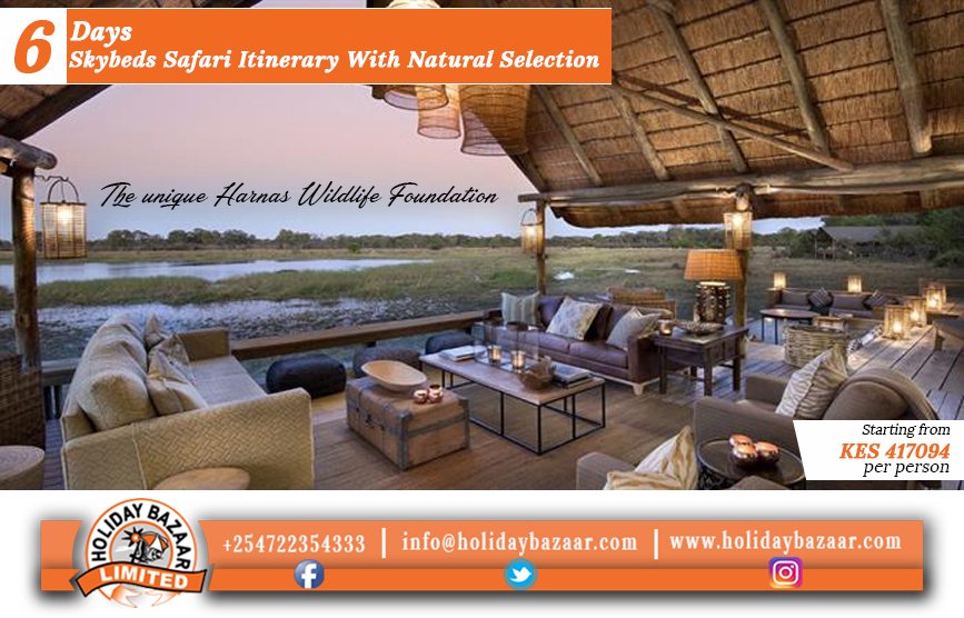 holidaybazaar's tweet photo. The #Skybeds offers a totally unique #safari experience; there’s not many places in the world that you can sleep atop a five-meter high, wooden platform, with only a mozzie net between you and the stars -> https://t.co/uD5qi320Ry 
@timetravelafric #africa #animallovers  #wildlife https://t.co/HSoXmftxrv