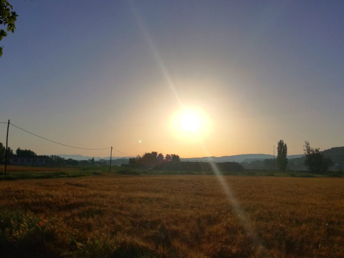 paquisoldado's tweet photo. #Boondia desde #Tona comencem #juliol amb #cellis i #calor ben d'hora @MeteoMoia @Cel_ennuvolat @danidanius @nestor_meteo @enricagud @esolerdelcoll @ARAmeteo #324eltemps @javioru @meteocat @SoniaPapell @AlfredRPico @alcantara_alb @meteomauri @SoldadoTonyi @rosa_tanti https://t.co/9qj1baNxQw