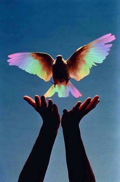 FengShuiCesar's tweet image. Te #Ruego Señor envolver a tod@s nosotr@s en #serenidad y #armonía #Hoy y siempre. 

Alejandonos cualquier preocupación y ansiedad que inquiete nuestra #mente y #cuerpo. 

Que tu #Paz sea en todo momento y en toda persona. Amén!