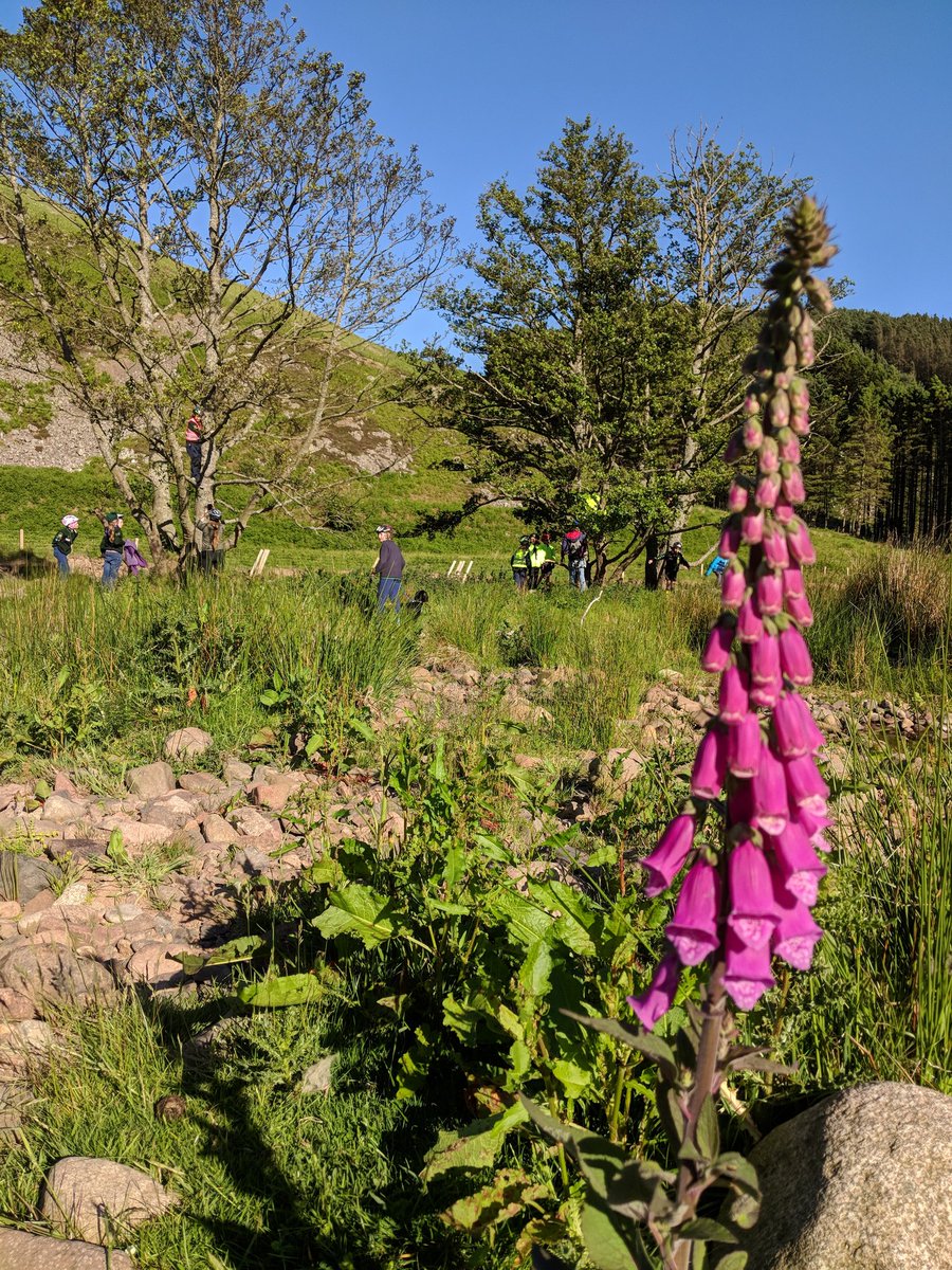 Kidsofthewild2's tweet photo. #30DaysWild - Day14 - Spot the Cubs! Unbeatable location for #cycling badge &amp; #treeclimbing! #KidsoftheWild #wildkids #WolfCubs #TraditionalScouting #SkillsForLife #bigcountry  @Wildlifetrusts @UKScouting https://t.co/03xHPllt1l