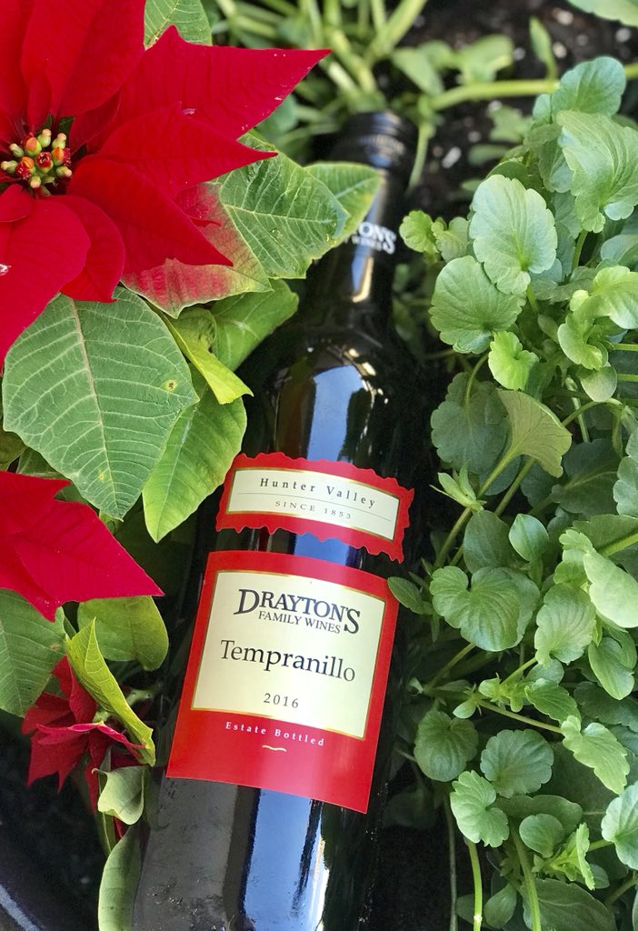 MasterpieceWine's tweet photo. 😎#hello #july ......feeling like Christmas-in-July not far away ❄️☃️ 🍷🍷!
.
#huntervalley #tempranillo #australia #christmasinjuly #draytons @draytonswines #warmth #silky #wineoftheday #winetasting #winechat #amazing #cheers #葡萄酒 #澳洲 #红酒 #橡木香 #醉人的 #干杯 https://t.co/21QGYL6gpj