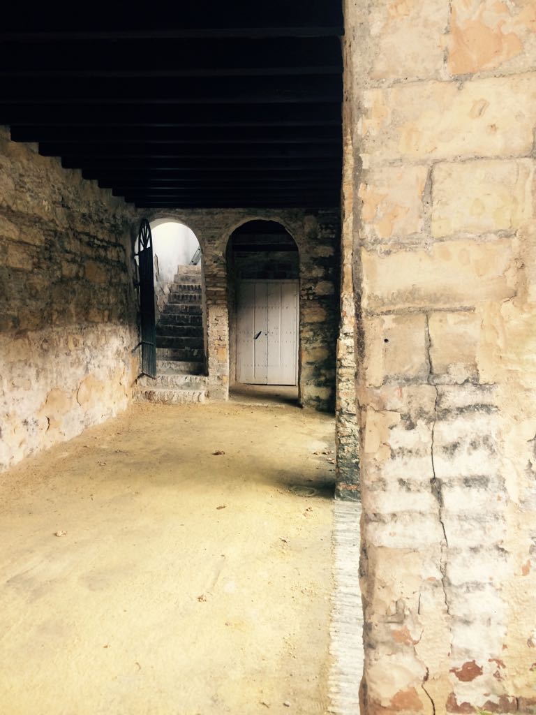 lvdclaudia's tweet photo. ¿Sabías que del 9 al 18 de agosto tiene lugar el #TioPepeFestival? En el marco maravilloso de #Jerez, música, gastronomía y vino se dan la mano creando esta experiencia única. 🎶🧀🍷 https://t.co/va7twJoE45
