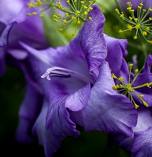 bubbee47's tweet image. 