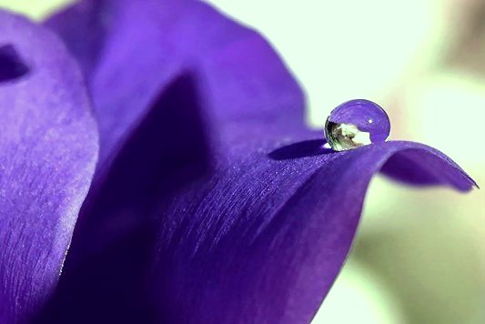 bubbee47's tweet image. 