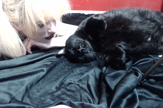 I meant to cam tonight but I fell asleep cuddling with my cat. He is such an attention whore. https://t<a href="/tag/ivyleague"class="tags"><span>#ivyleague</span></a>