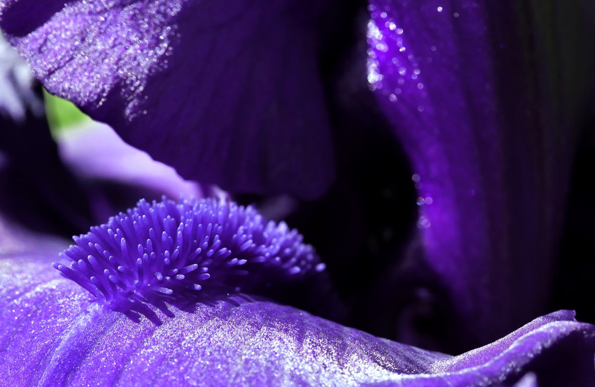 bubbee47's tweet image. 