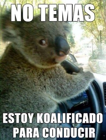 bebi_fernandez's tweet photo. Yo sacándome el carnet. https://t.co/vc65X31e3T