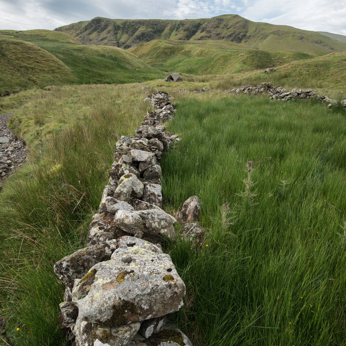 butnorain's tweet image. This time last Sat
Day 7 of our 7-day #treefold walk
Final stretch to Blencathra, 9.3 km
 
Cool start, reflecting on a week of wandering &amp;amp; wondering,  pondering small things &amp;amp; big issues #LakeDistrict #environment,  #nature, #culture.
Blog coming soon at somewhere-nowhere.com.