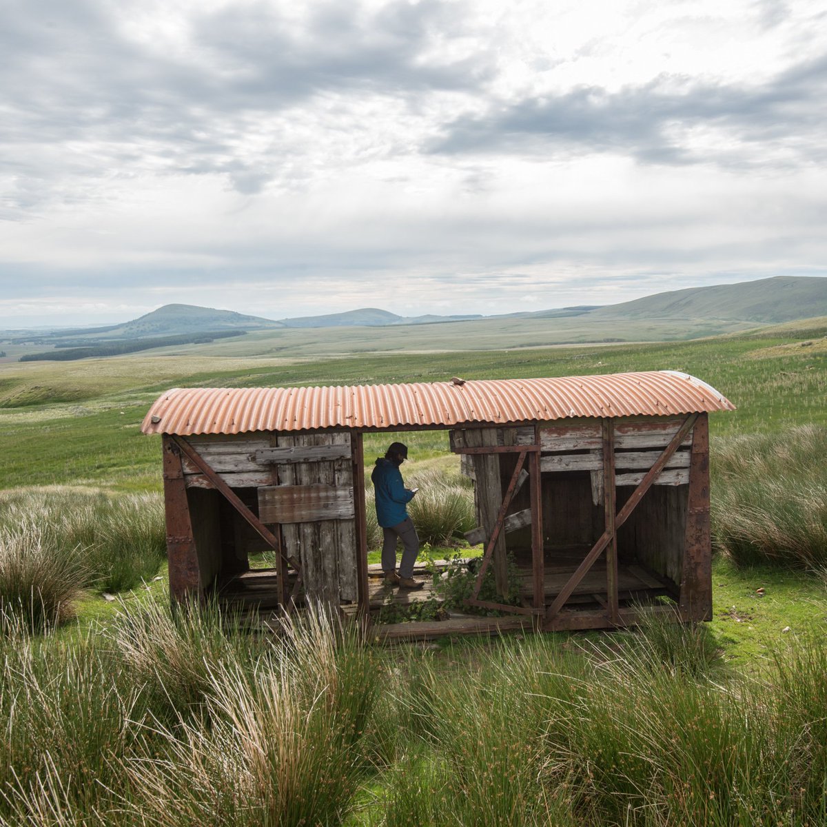 butnorain's tweet image. This time last Sat
Day 7 of our 7-day #treefold walk
Final stretch to Blencathra, 9.3 km
 
Cool start, reflecting on a week of wandering &amp;amp; wondering,  pondering small things &amp;amp; big issues #LakeDistrict #environment,  #nature, #culture.
Blog coming soon at somewhere-nowhere.com.