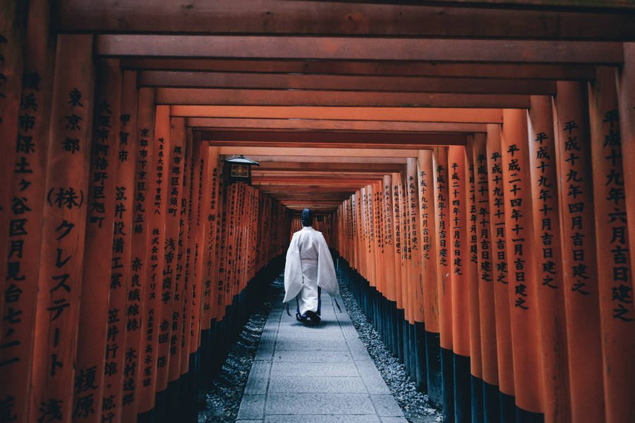 fubiz's tweet image. Japan Street Photography bit.ly/1j25iZB
