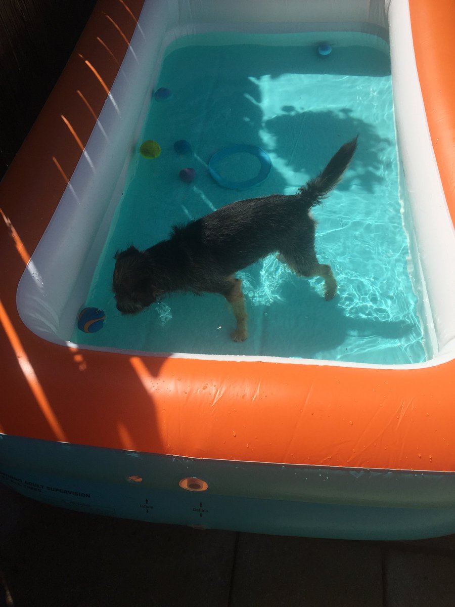 Dookin fur balls n frisbees 😜👍