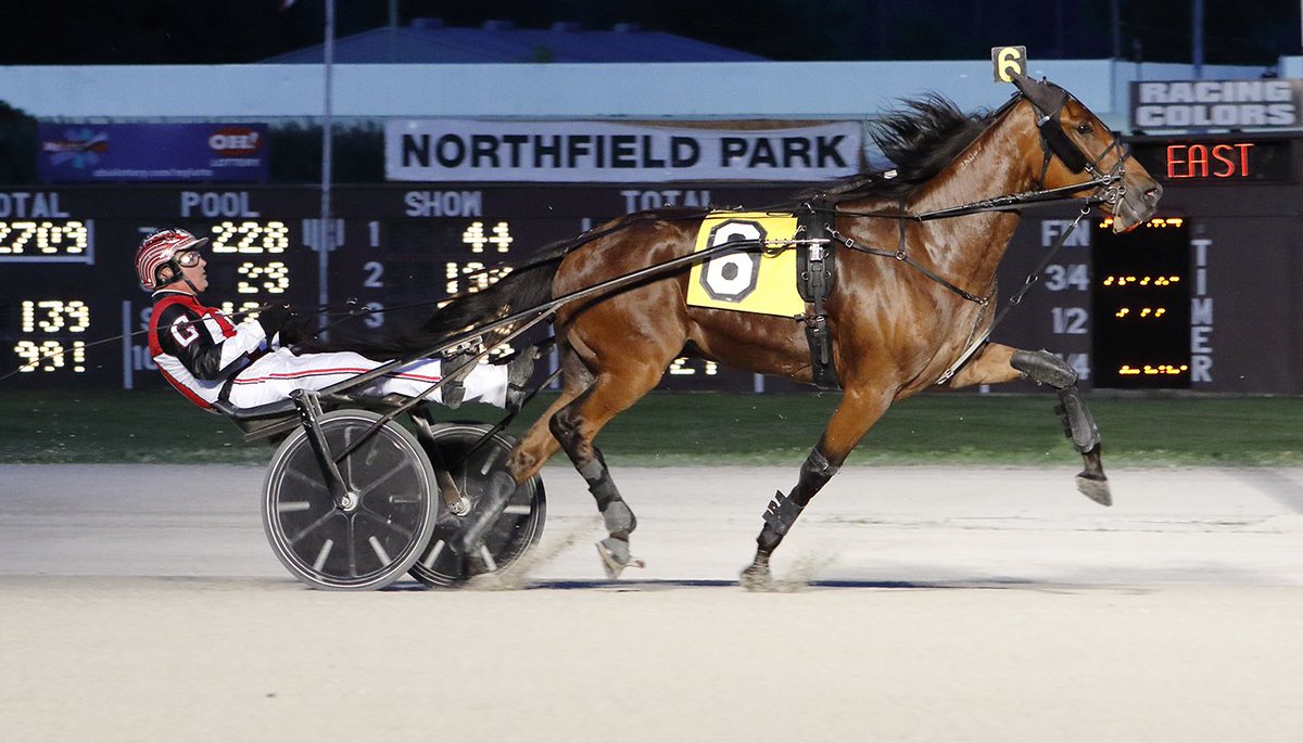 Joe_Zagari's tweet photo. #GetTheCash 🇺🇸 #CashHall won $25,000 Gin Blossom Series Final with @ggrismore44 ⏱️1:54.3 (28.0) over #MannyL an #MagicMvp
📸 @NfldPark https://t.co/7q56LdARjH