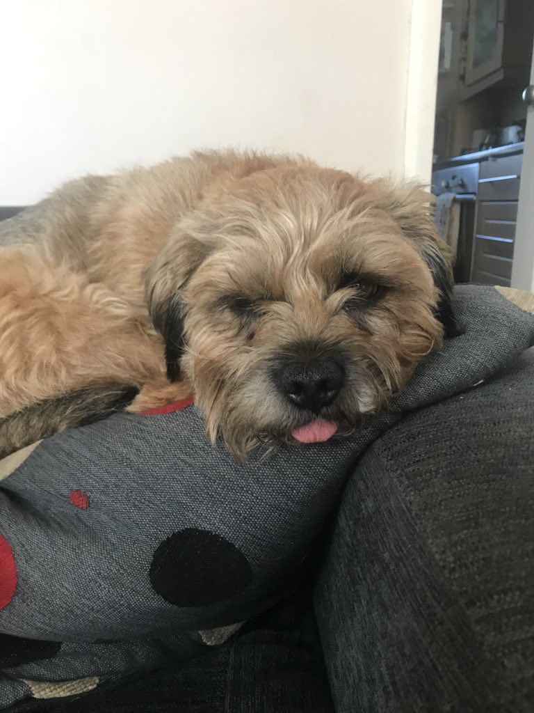 Malcolm Miggins tweet media