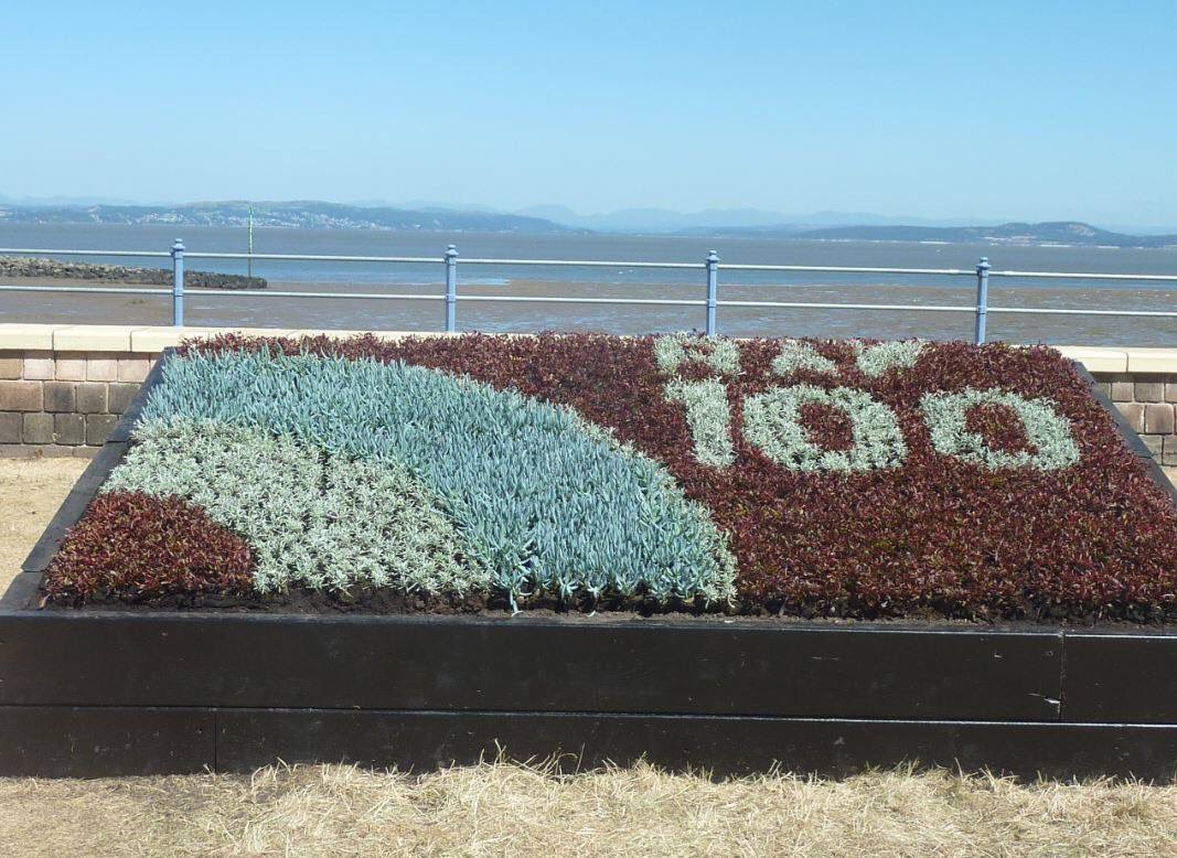 455Sqn RAF AirCadets tweet media