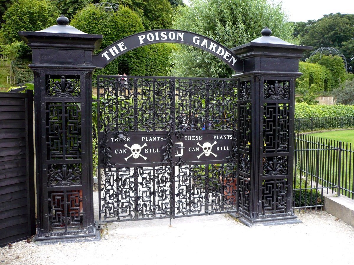 The Poison Garden #alnwick #alnwickpoisongarden #garden #Northumberland #poison #poisongarden #ThePoisonGarden ajpinfo.com/travel/the-poi…