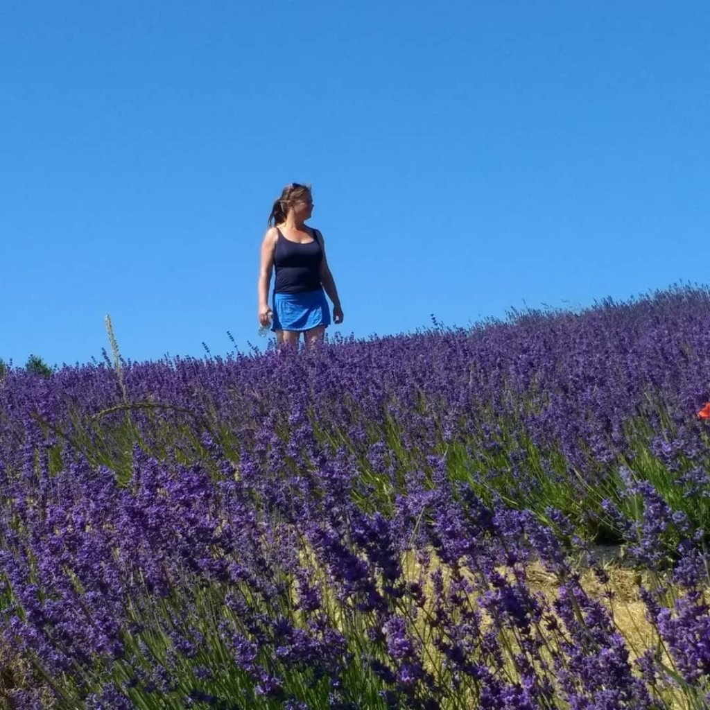 betweenthetread's tweet photo. Snowshill Lavender Fields https://t.co/RuEAavJh5e https://t.co/3goGeR6w7M