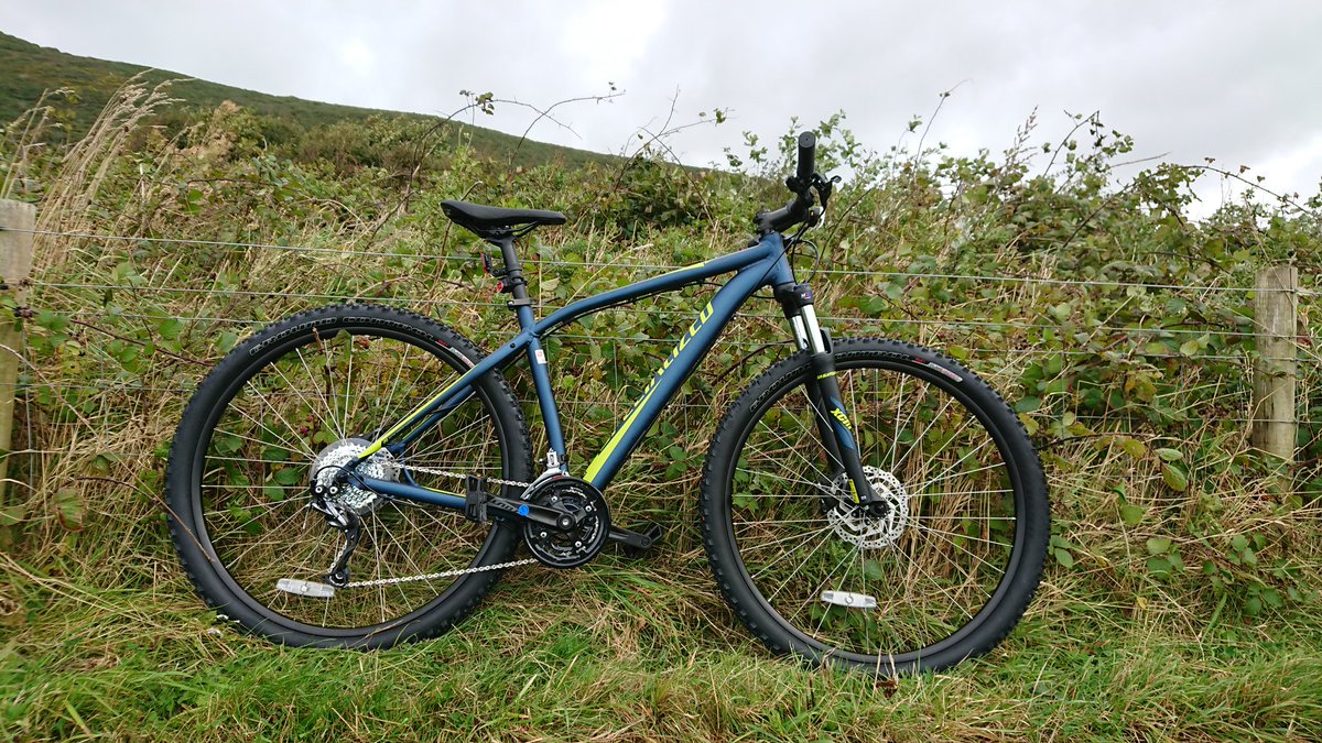 Waylen Watts tweet media