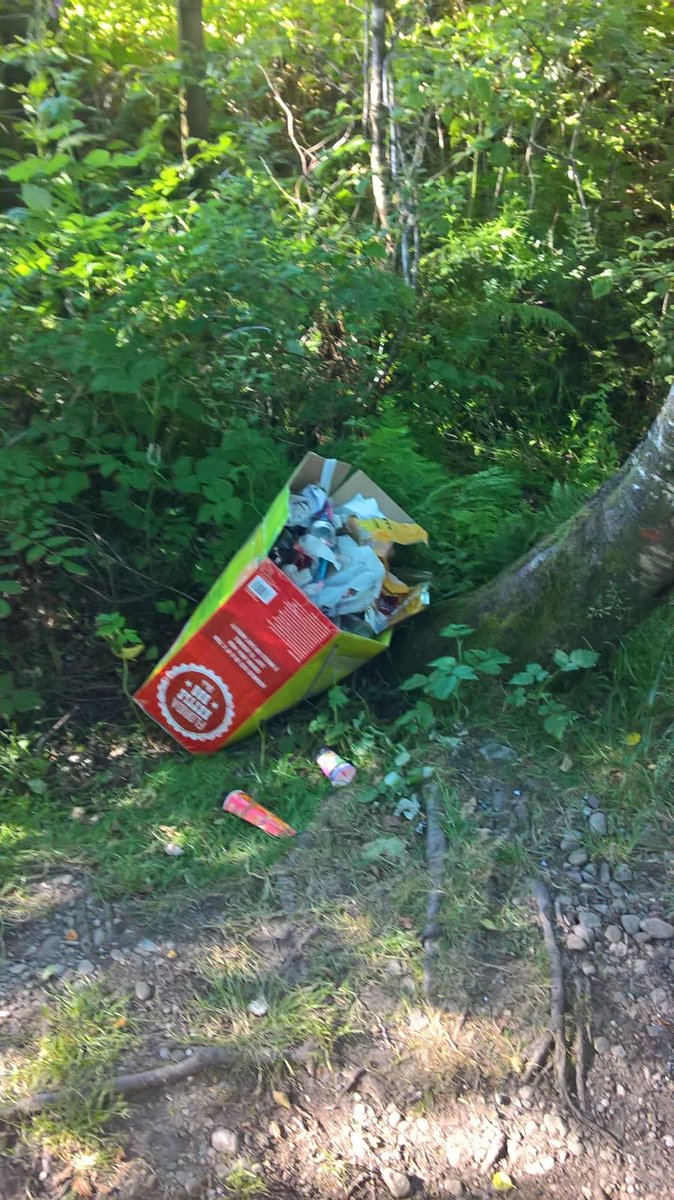 Loch Lomond & The Trossachs tweet media