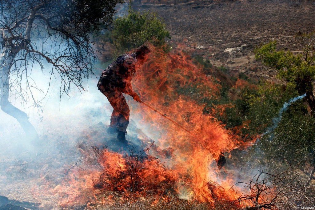 Illegal Israeli settlers burned dozens of olive trees on Palestinian farms in Beit Forik near Nablus in occupied West Bank

⁦#IsraeliTerrorists⁩ 

⁦#GroupPalestine⁩ 
⁧#قروب_فلسطيني⁩
⁦middleeastmonitor.com/20180630-jewis⁩…
