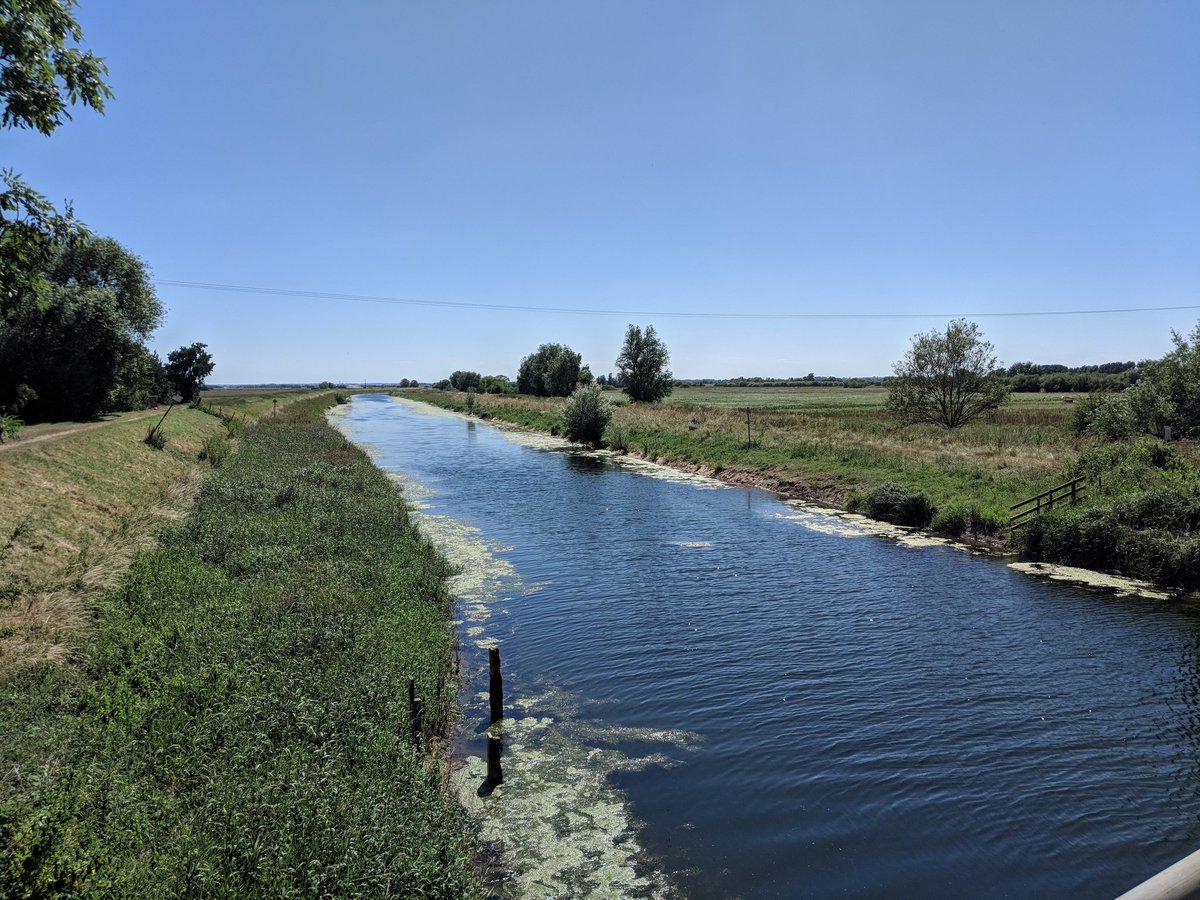 Honest_Sy1's tweet photo. #TheFens #SuttonInTheIsle #summer https://t.co/no1kEGIkKZ
