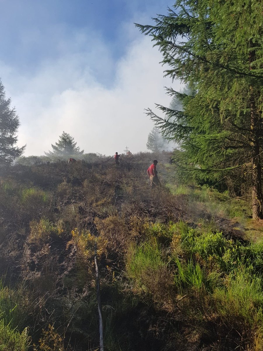 Crews mobilised to help on the moors
