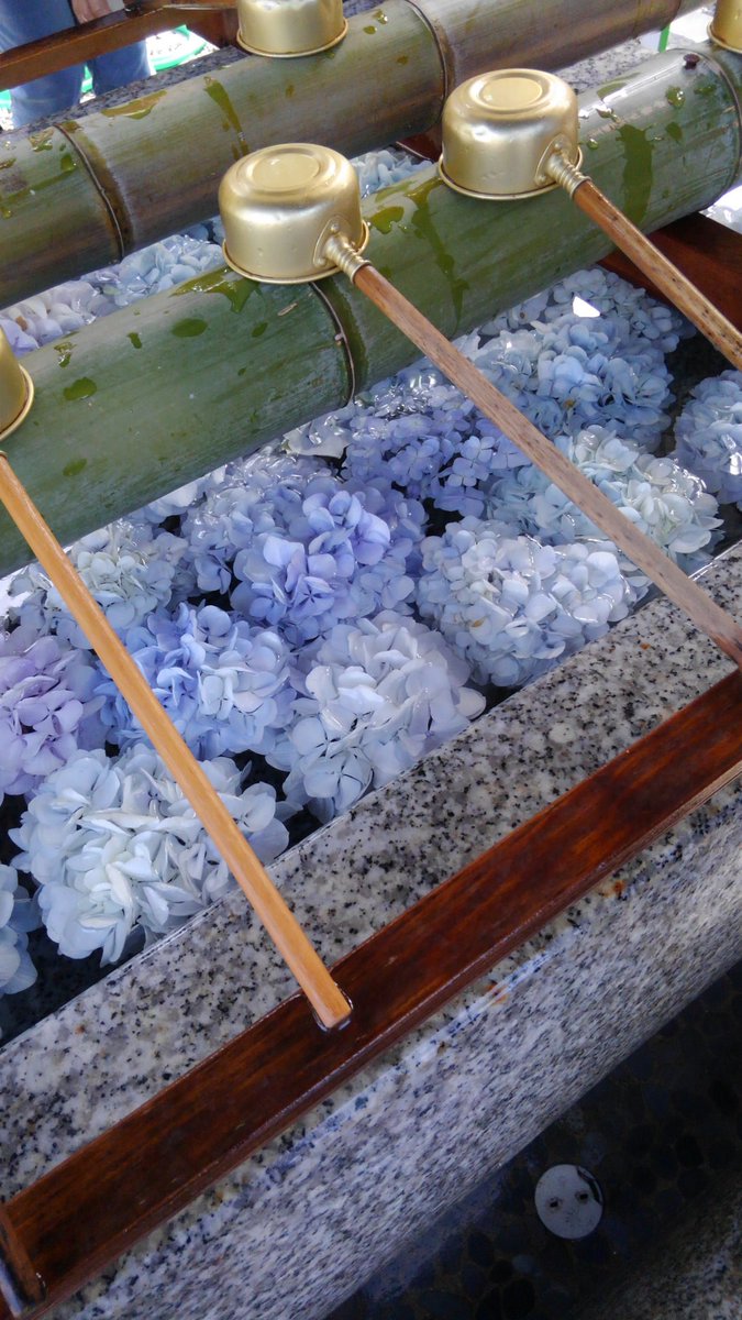 近くの神社に半年参り