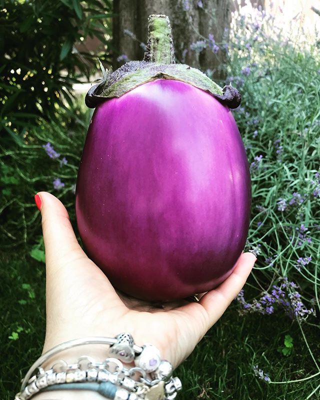 silviacongiu75's tweet photo. Le manca solo la parola💜 _______________________________
#ilcassettodellericette #foodie #ifoodit #foodlovers #top_food_of_instagram #cucinaitaliana #ricettefacili #food_addiction #igersbrescia #foodstyle #thehub_food #ifoodies #homemade #italiainta… https://t.co/MZN2HxuKmC https://t.co/kZet6OckRQ