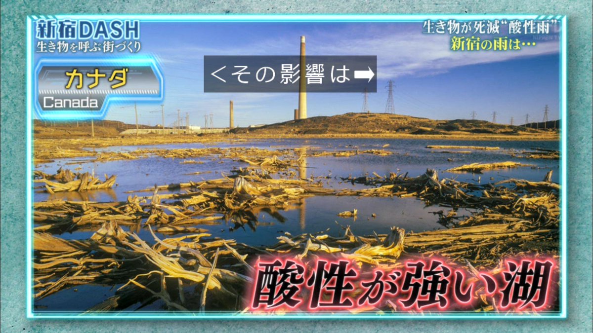 新宿dashの 0円ろ過装置 が完成 池の水ぜんぶ入れられるのか 鉄腕dash Togetter