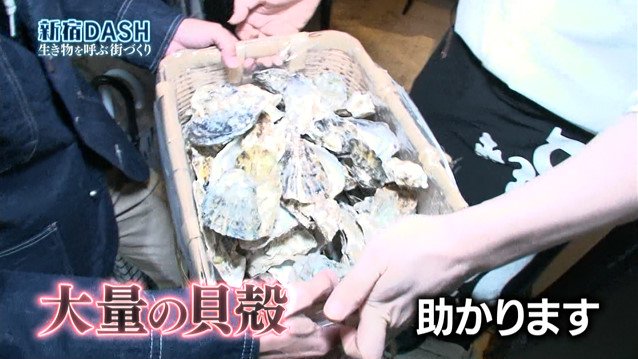 新宿dashの 0円ろ過装置 が完成 池の水ぜんぶ入れられるのか 鉄腕dash Togetter