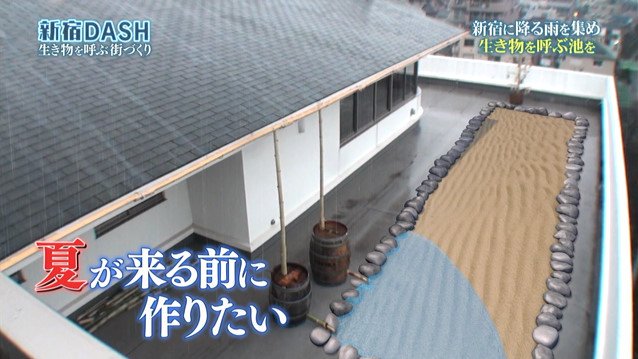 新宿dashの 0円ろ過装置 が完成 池の水ぜんぶ入れられるのか 鉄腕dash Togetter
