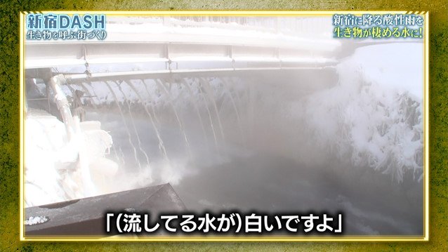 新宿dashの 0円ろ過装置 が完成 池の水ぜんぶ入れられるのか 鉄腕dash Togetter