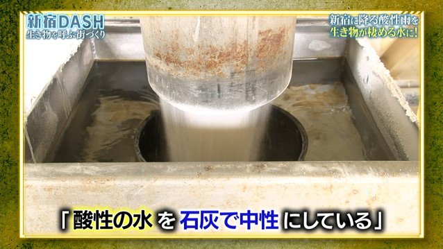 新宿dashの 0円ろ過装置 が完成 池の水ぜんぶ入れられるのか 鉄腕dash Togetter