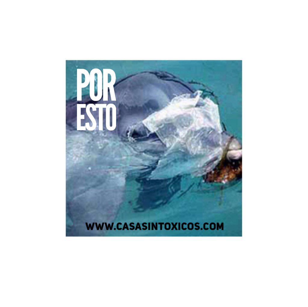 Casasintoxicos's tweet photo. Hoy, en toda España se paga por las bolsas de plástico. Mañana, también. Y pasado. Y al otro. Y al otro... https://t.co/yiigWVMaLA #zerowaste #bolsasdeplástico #sinplástico https://t.co/vFdSt1UpnG