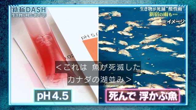 新宿dashの 0円ろ過装置 が完成 池の水ぜんぶ入れられるのか 鉄腕dash Togetter