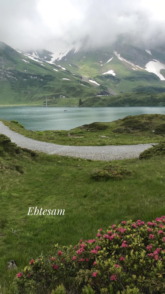 4_peso's tweet photo. ��يقنت فعلاً أن بعض الأماكن يُغني لها الجمال ... 🎻♥️                                           #Switzerland . https://t.co/zoLC66laqI