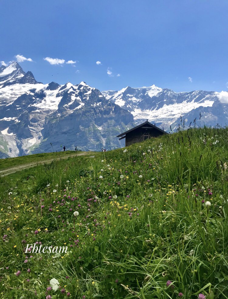 4_peso's tweet photo. ��يقنت فعلاً أن بعض الأماكن يُغني لها الجمال ... 🎻♥️                                           #Switzerland . https://t.co/zoLC66laqI