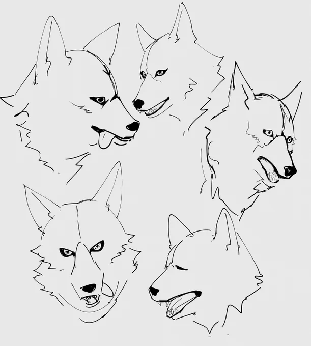 シュッとさせたかった・・・
最早ただの犬… 