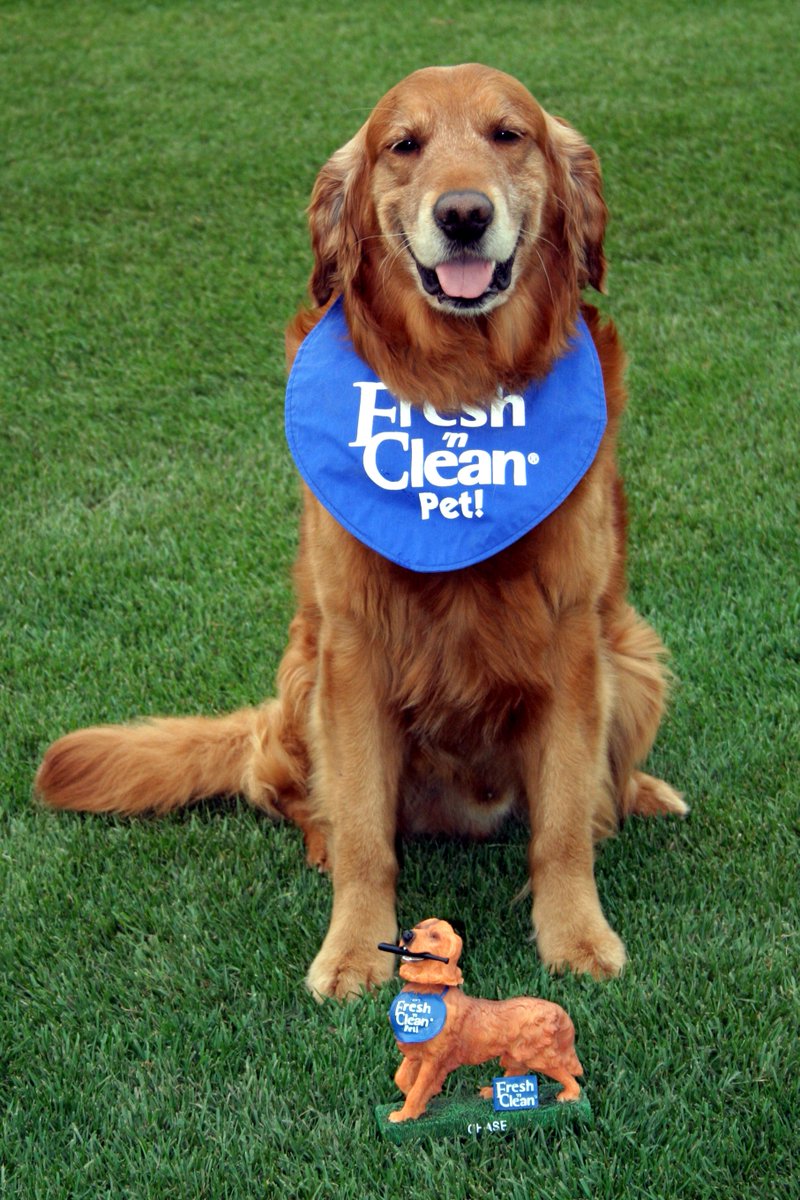 On July 1, 2000, the "Family Business" of <a href="/TrentonThunder/">Trenton Thunder⚡</a> bat dogs began.  On that day, CHASE-"That Golden Thunder" was born. He put smiles on the faces of millions of fans until his passing in July 2013.#VerySpecialBoy