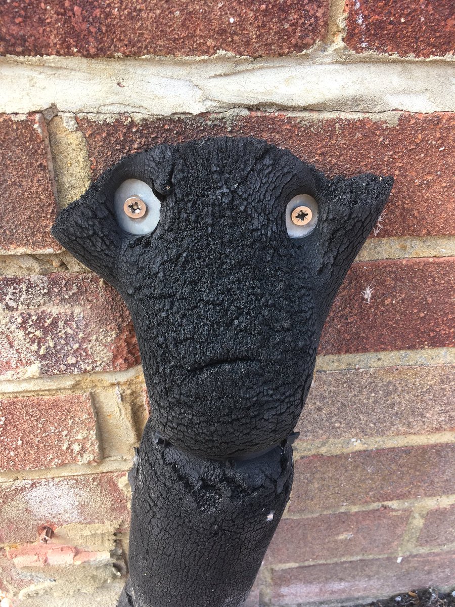 Red Sky At Night tweet media