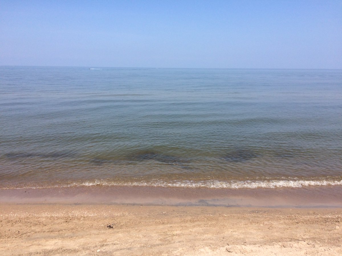 Mick Kern tweet media